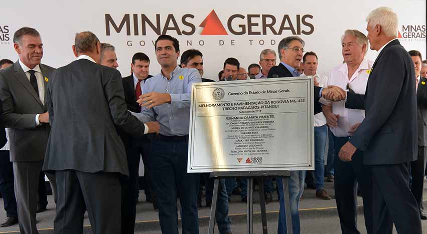 papagaios pitangui foto carlos alberto